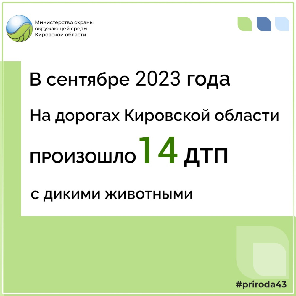 О ДТП с участием диких животных.