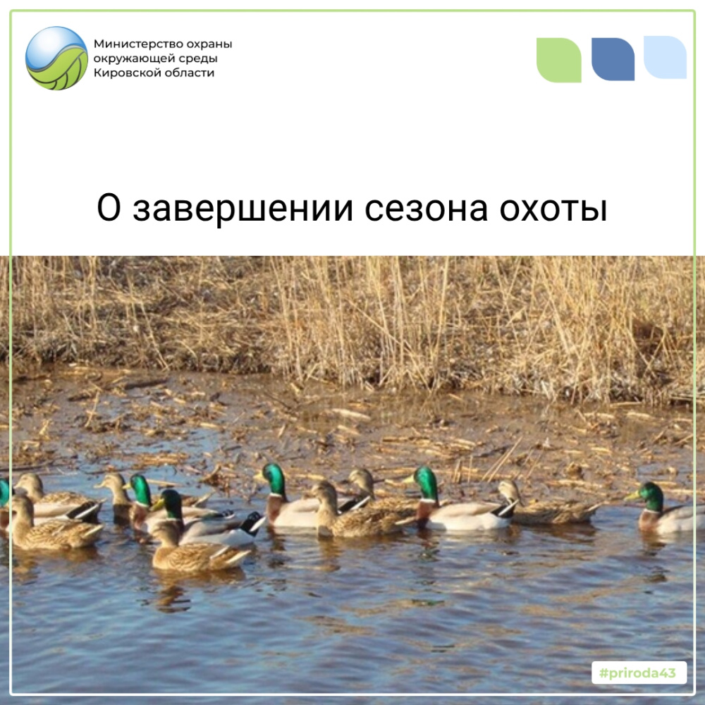 Сезон охоты на пернатую дичь закрыт!