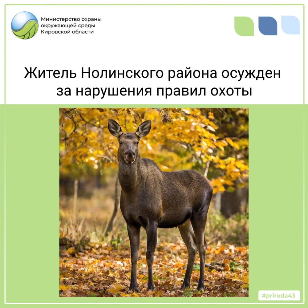 Житель Нолинского района осужден за нарушения правил охоты