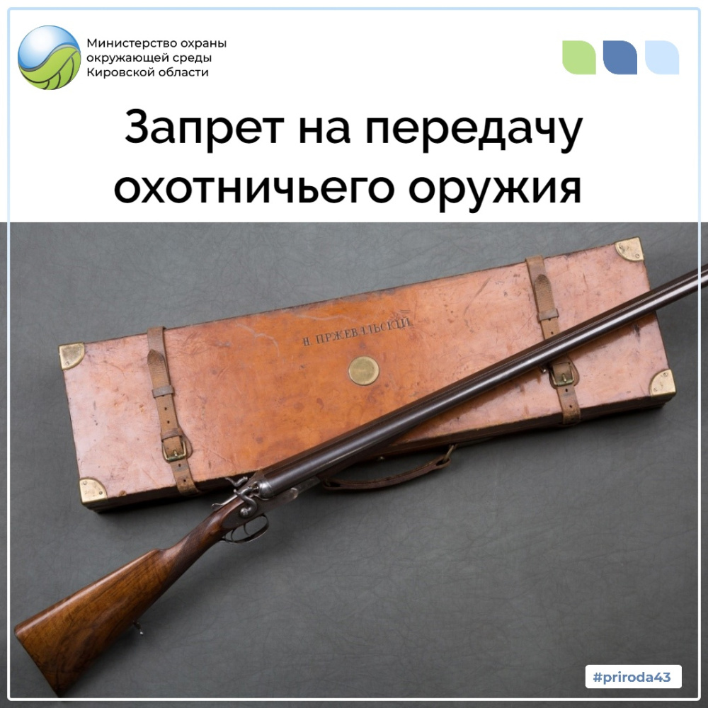 Запрет на передачу охотничьего оружия