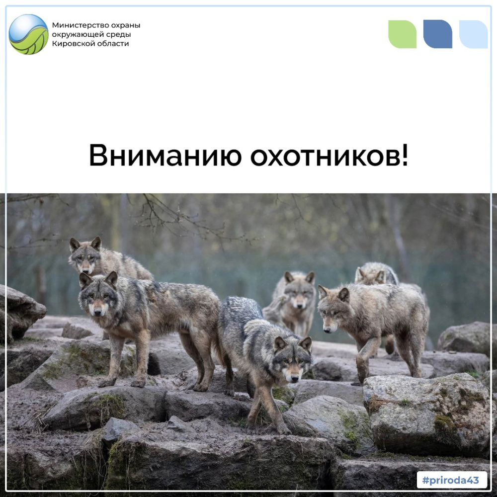 Вниманию охотников!