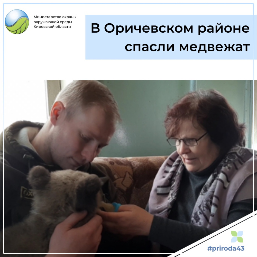 О спасенных медвежатах
