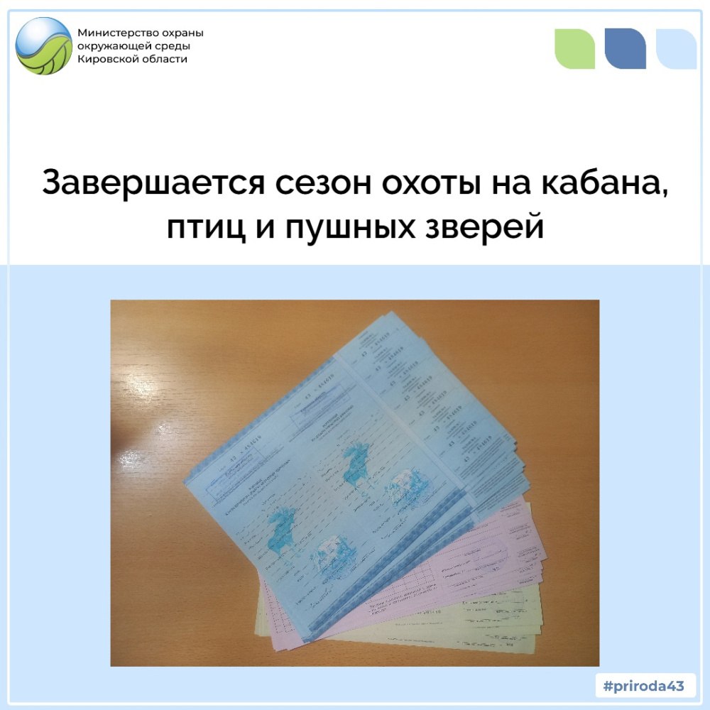 Завершается сезон охоты на кабана, птиц и пушных зверей