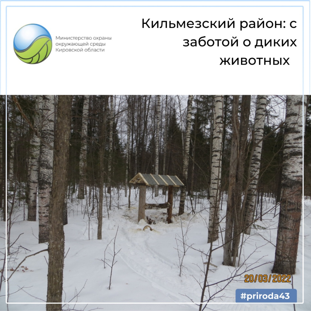 Кильмезский район с заботой о диких животных
