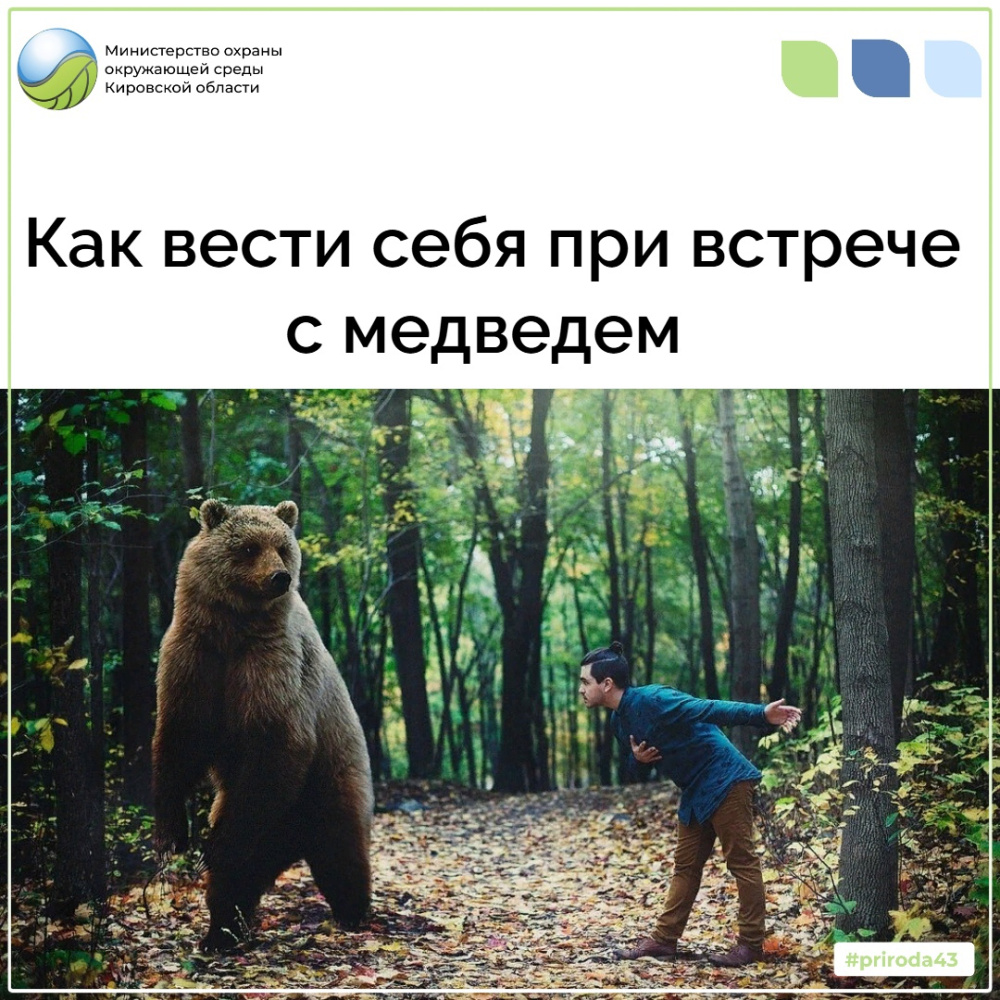 Напоминаем основные рекомендации при встрече с медведем