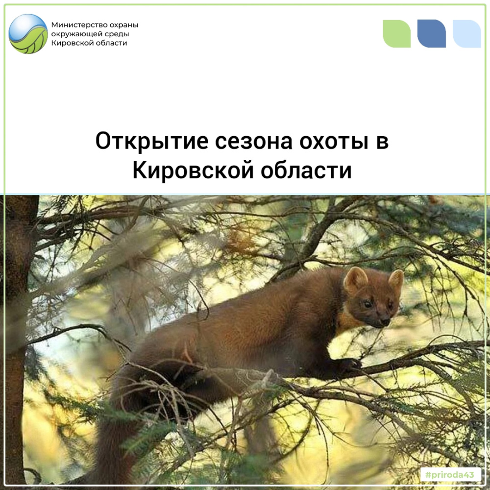 Открытие сезона охоты в Кировской области