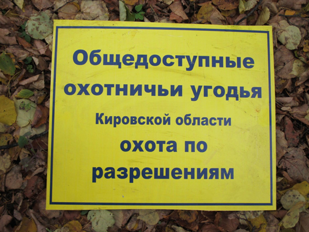 На 22% снизилось количество нарушений правил охоты в Кировской области