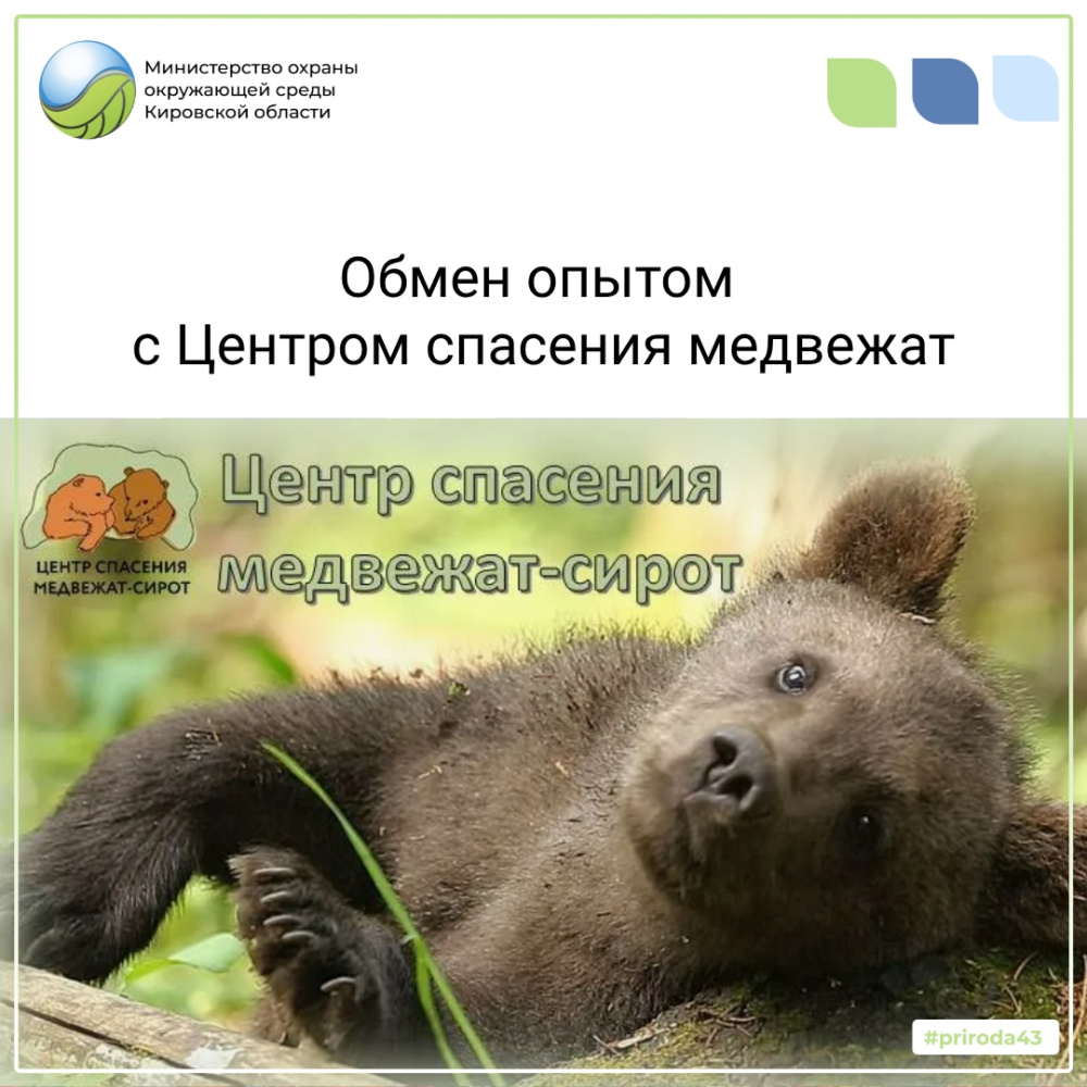 Обмен опытом с Центром спасения медвежат