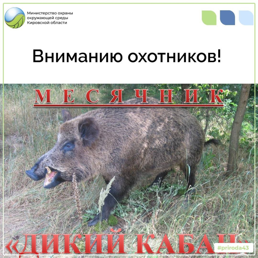 Вниманию охотников!