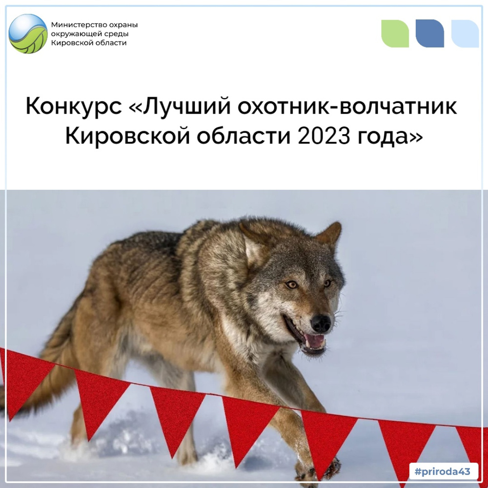 Конкурс "Лучший охотник-волчатник Кировской области 2023 года"