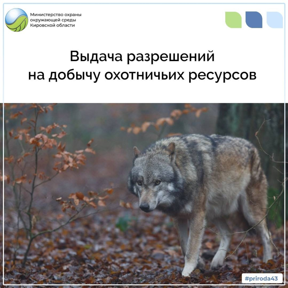 Выдача разрешений на добычу охотничьих ресурсов