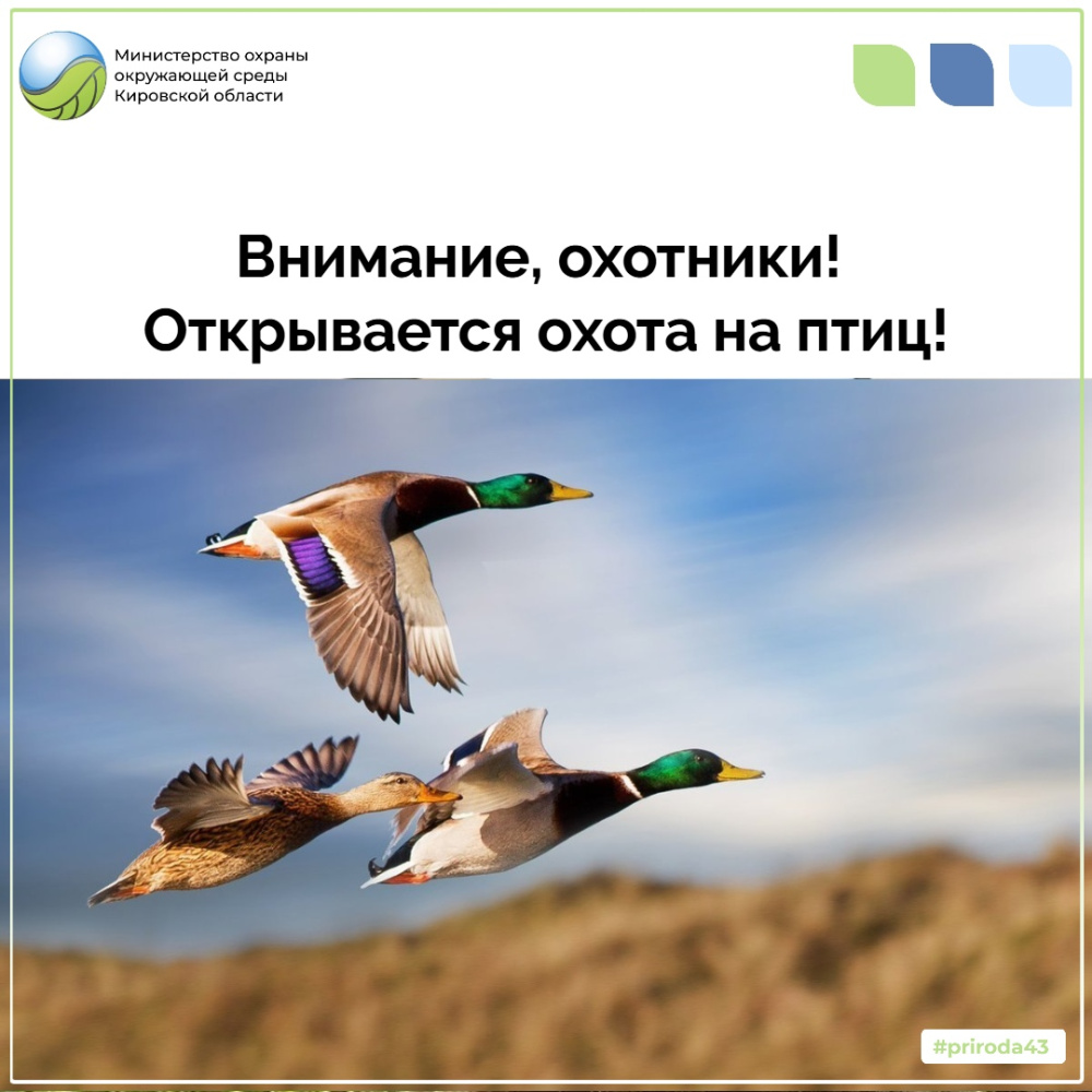 Внимание, охотники! Открывается охота на птиц!