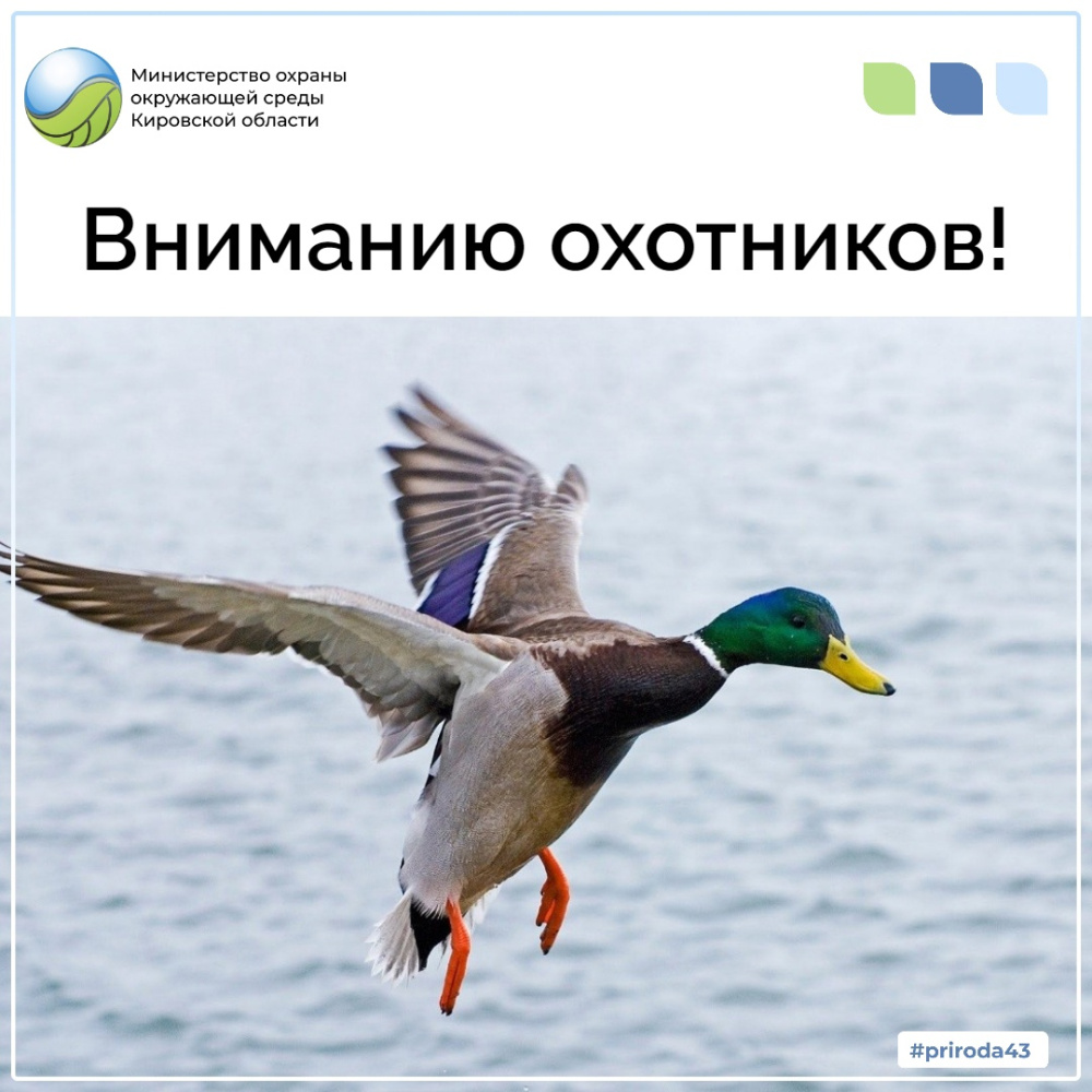 Вниманию охотников!