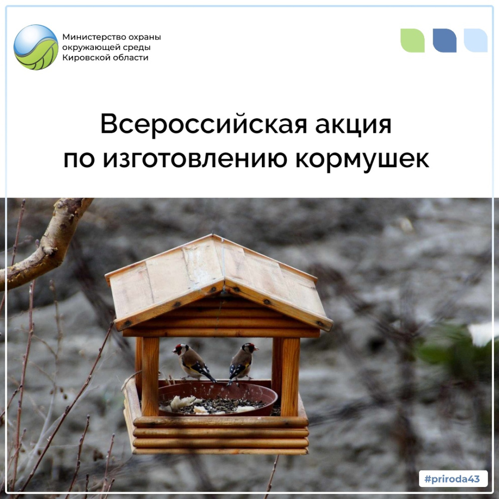 Всероссийская акция по изготовлению кормушек