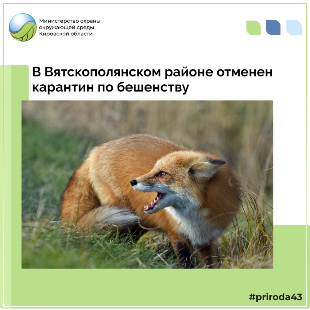 Врио Губернатора Кировской области Соколов А.В. отменил карантин по бешенству животных на территории Вятскополянского района