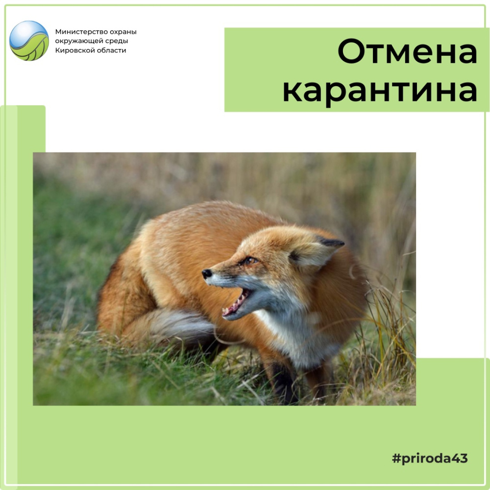 В Зуевском районе отменен карантин по бешенству
