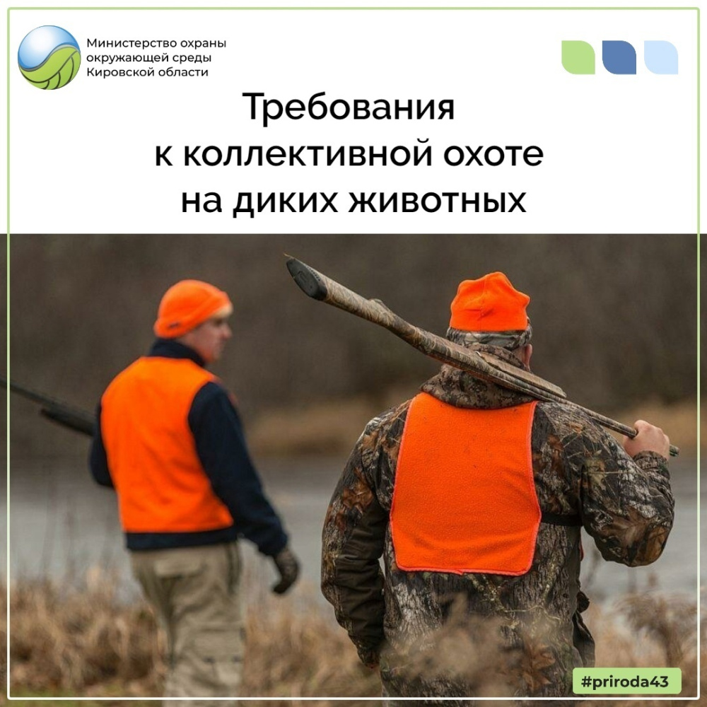 Требования к коллективной охоте на диких животных