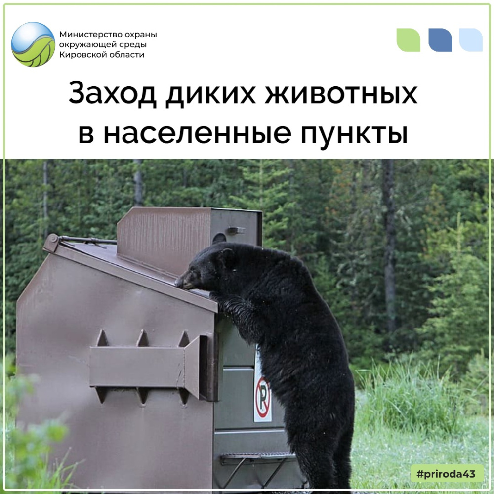 Заход диких животных в населенные пункты