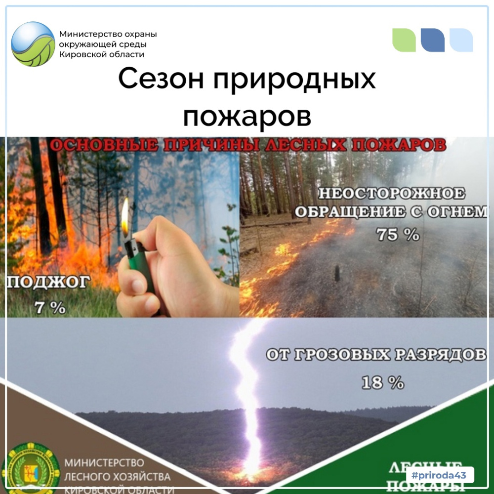Сезон лесных пожаров