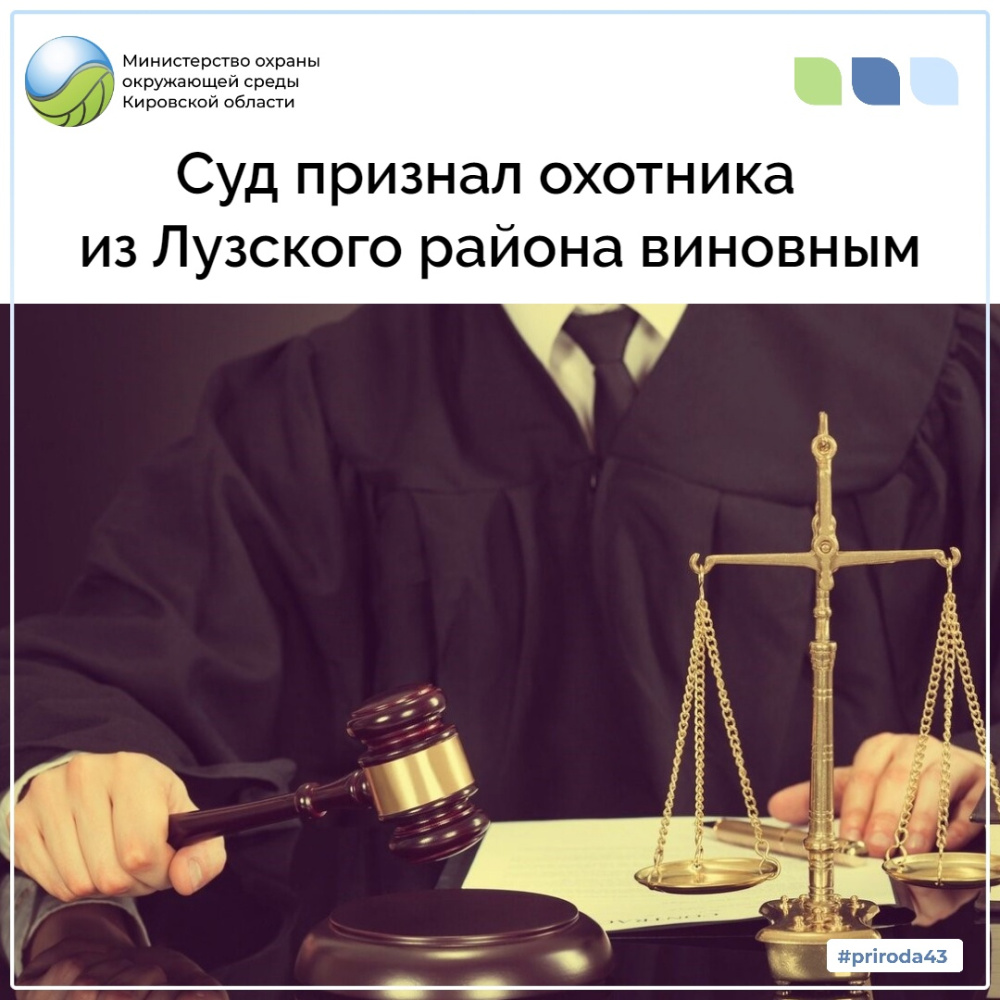 Суд признал охотника из Лузского района виновным 