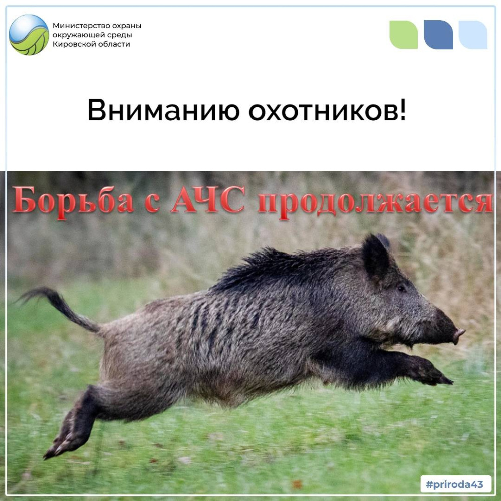 Вниманию охотников!