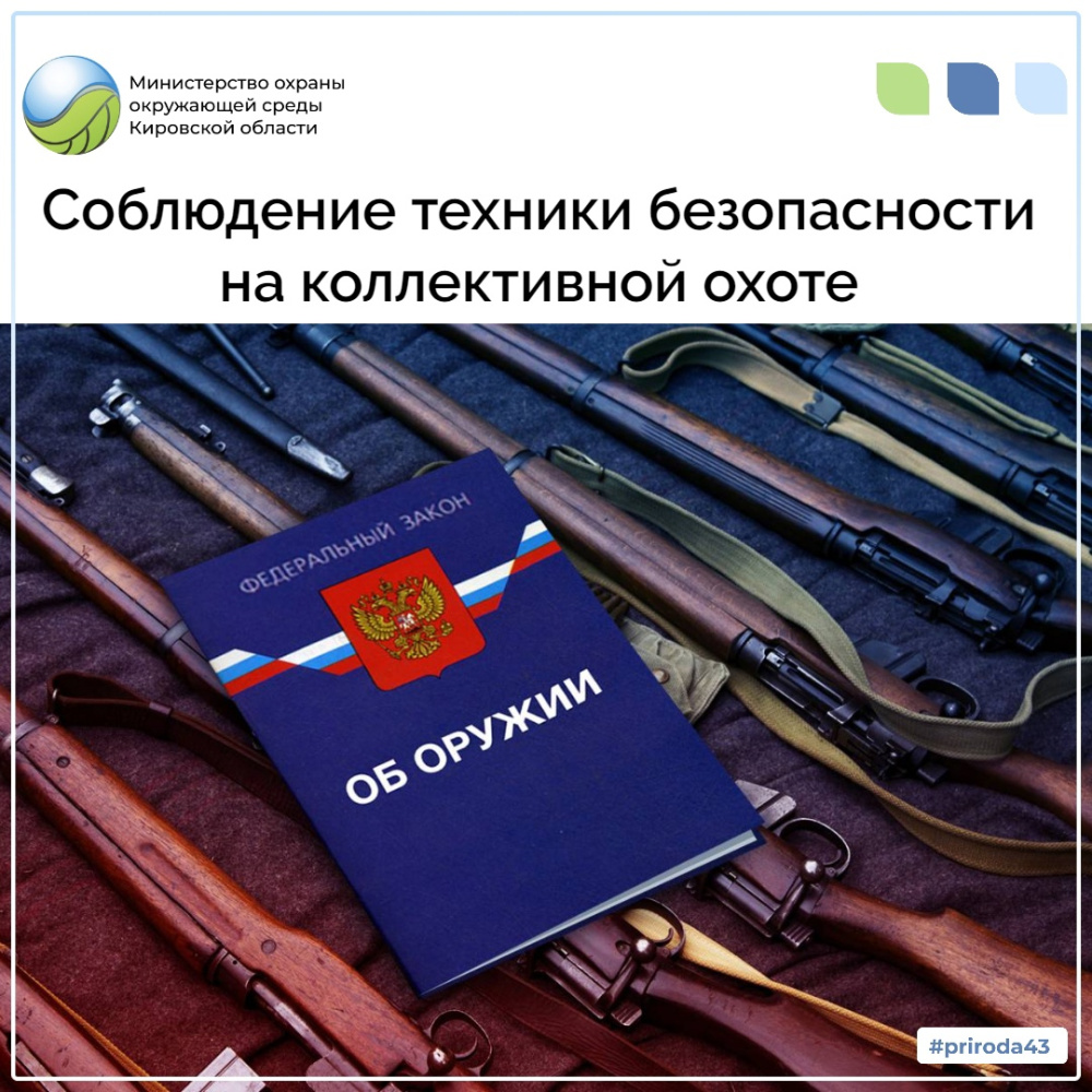 Соблюдение техники безопасности на коллективной охоте