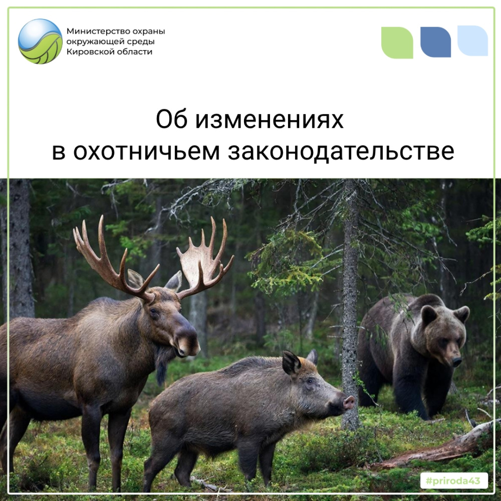 Об изменениях в охотничьем законодательстве