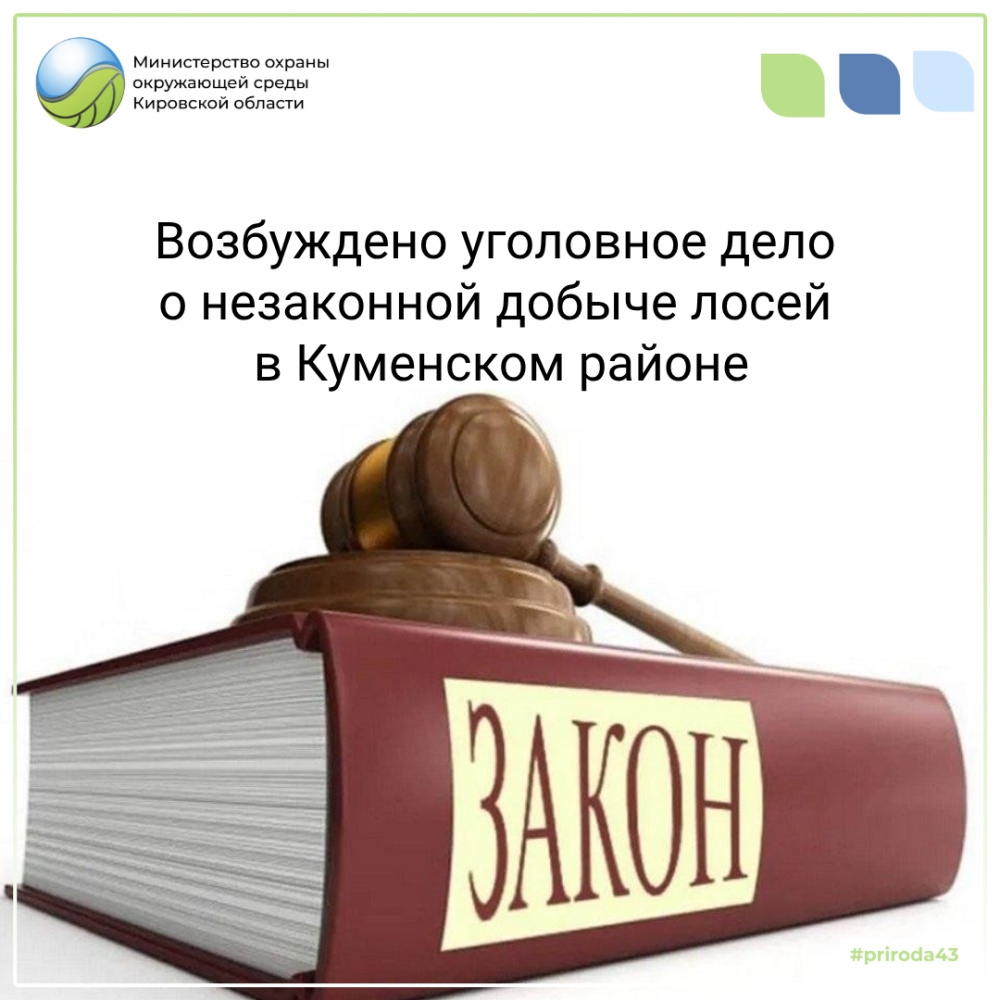 Возбуждено уголовное дело о незаконной добыче лосей в Куменском районе