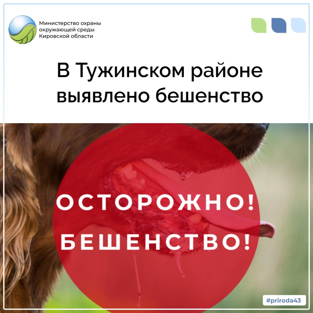 В Тужинском районе выявлено бешенство
