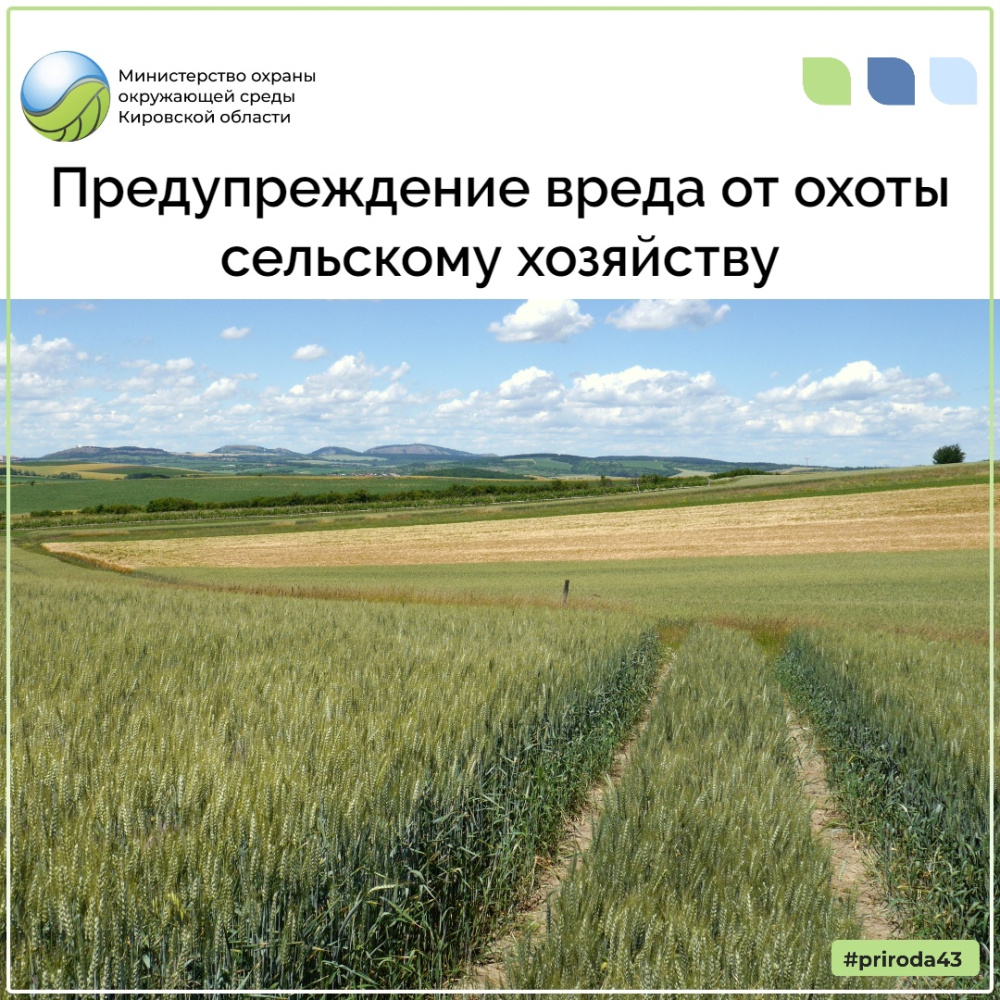 Предупреждение вреда от охоты сельскому хозяйству