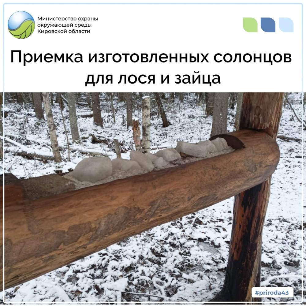 Приемка изготовленных солонцов для лося и зайца