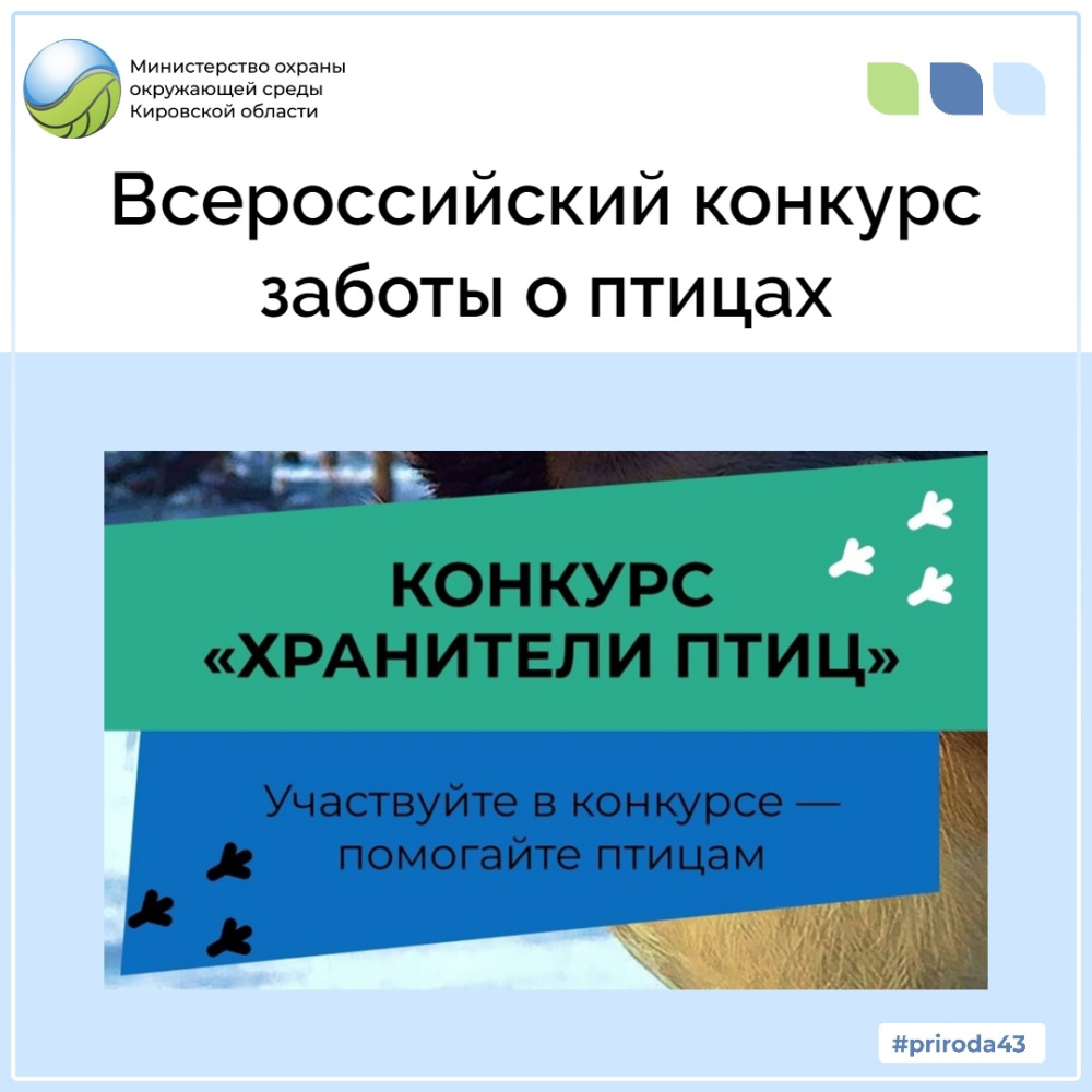 Всероссийский конкурс заботы о птицах