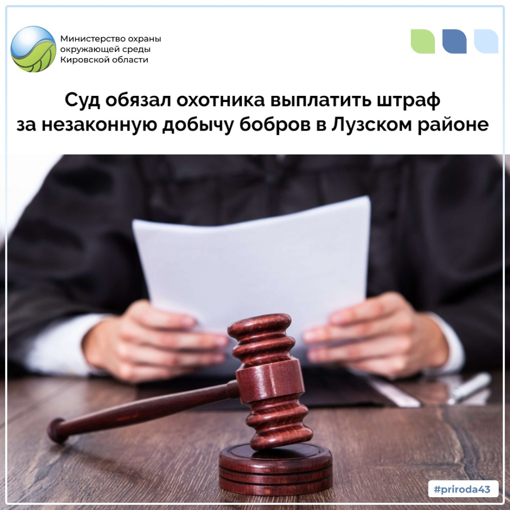 Суд обязал охотника выплатить штраф за незаконную добычу бобров в Лузском районе