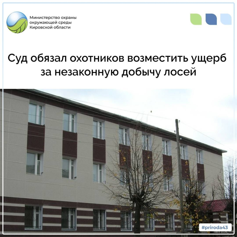 Суд обязал охотников возместить ущерб за незаконную добычу лосей 