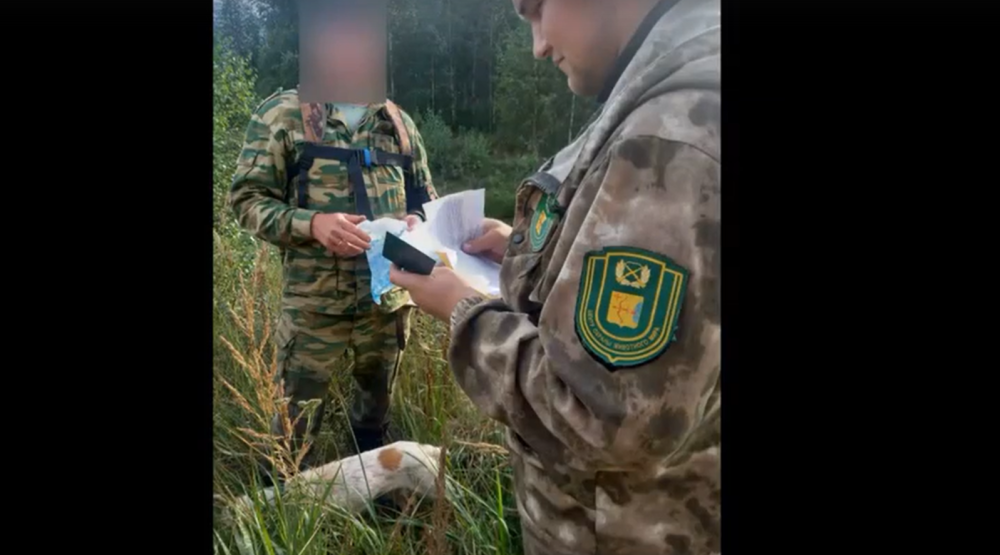 Охотинспекторы министерства и подведомственного ему учреждения продолжают осуществлять охрану охотугодий области