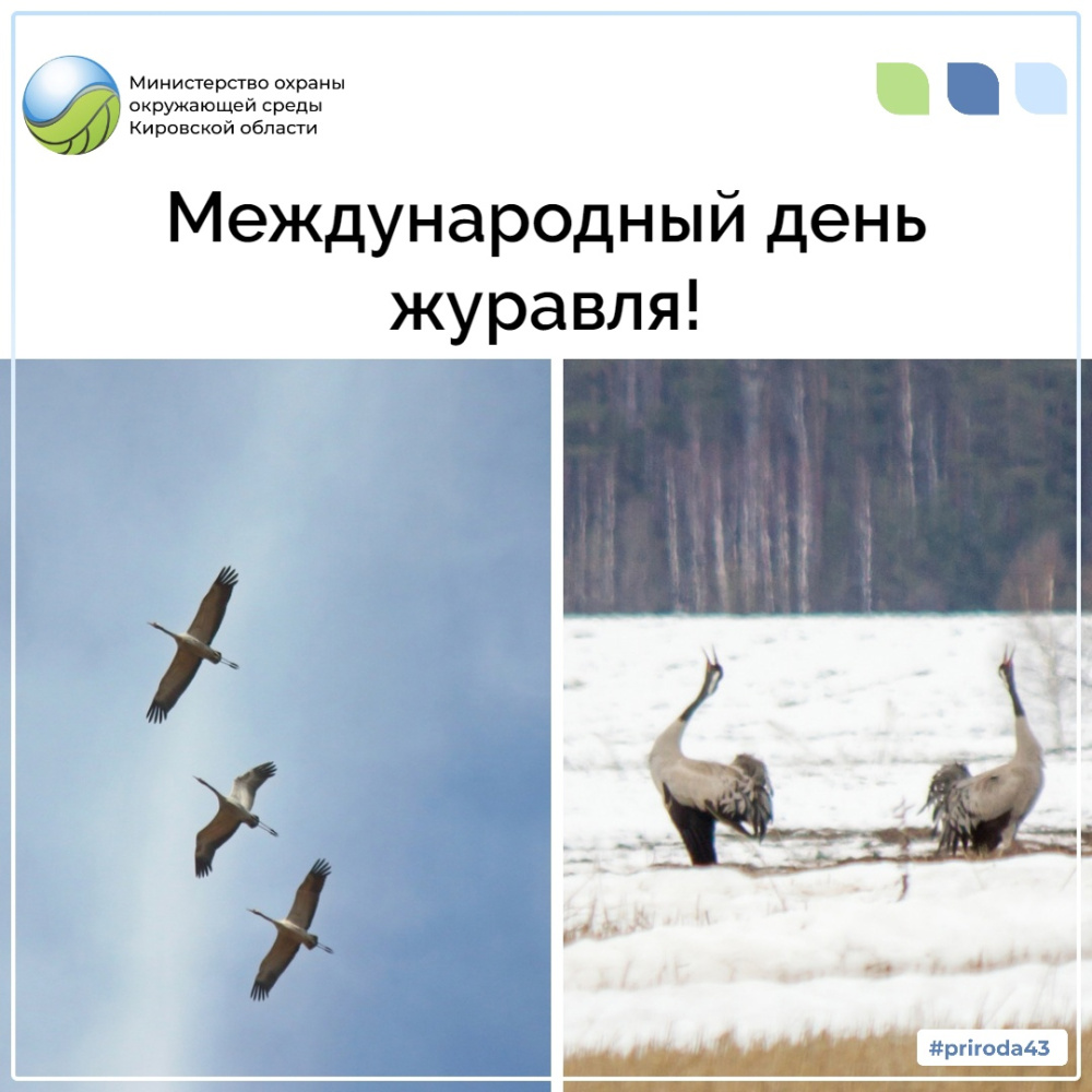 Международный день журавля