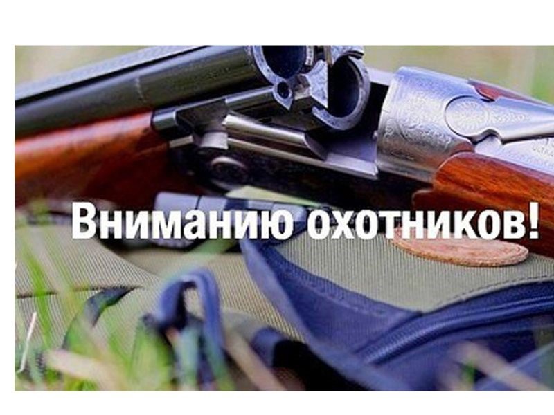 Разъяснения Кировской природоохранной прокуратуры по изменениям в ФЗ "Об охоте и сохранении охотничьих ресурсов"!