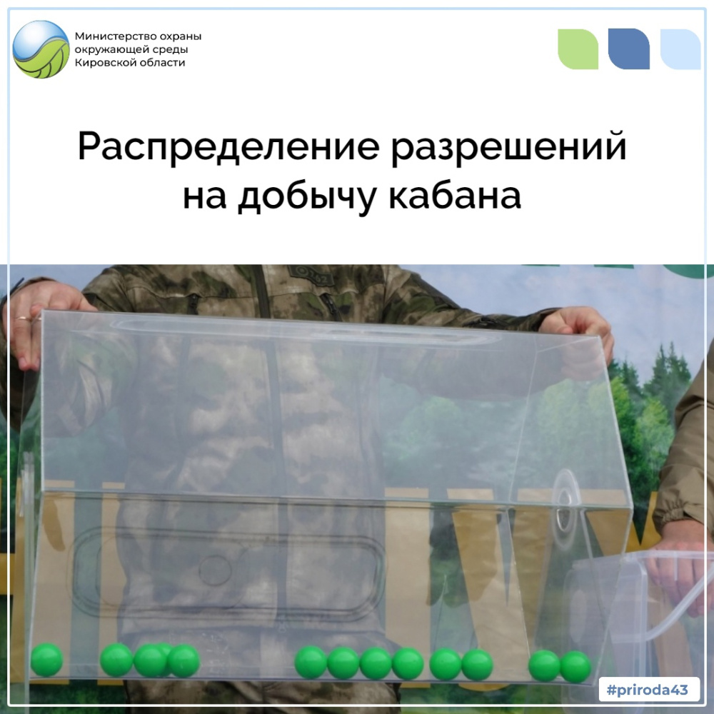 Распределение разрешений на добычу кабана