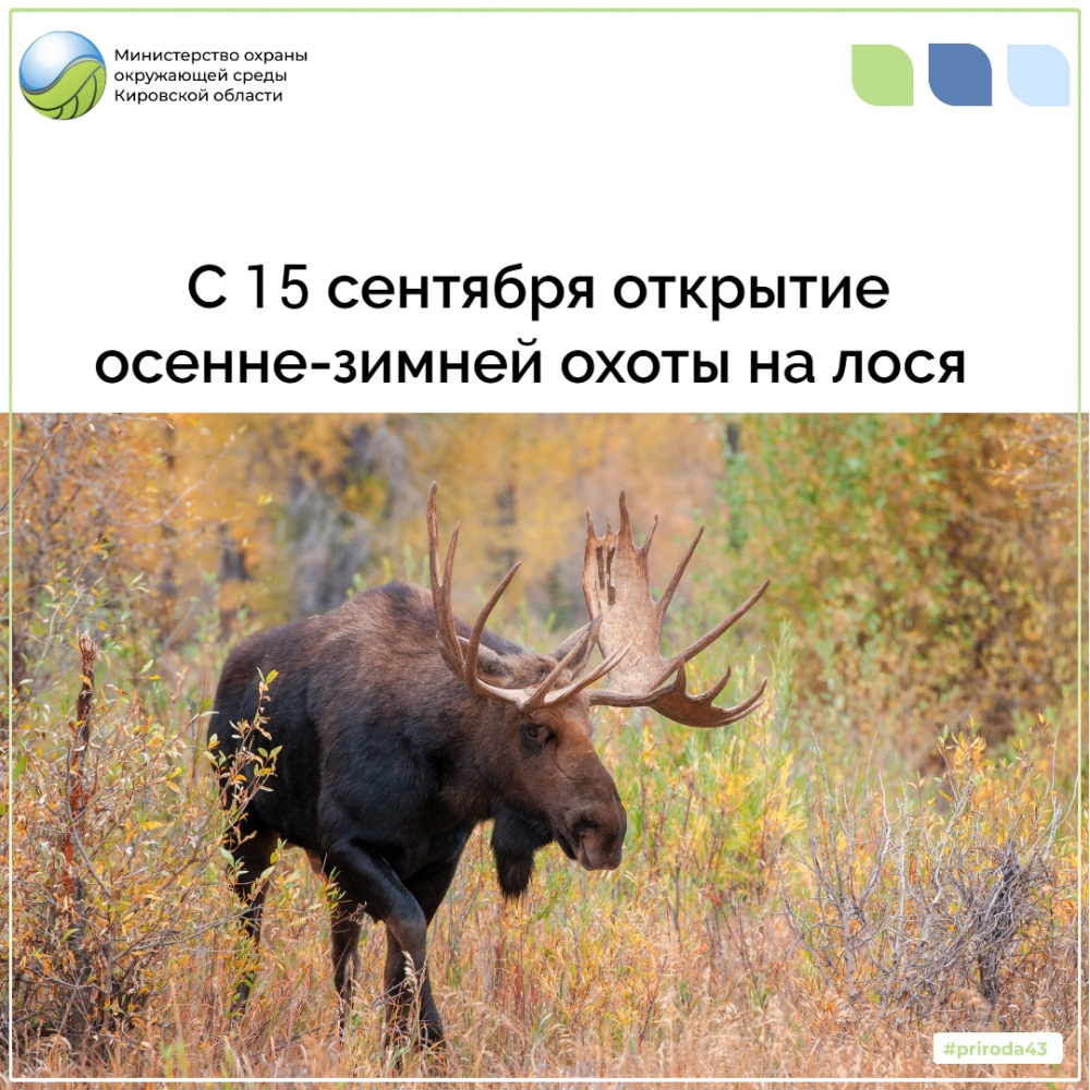 Открытие осенне-зимней охоты на лося