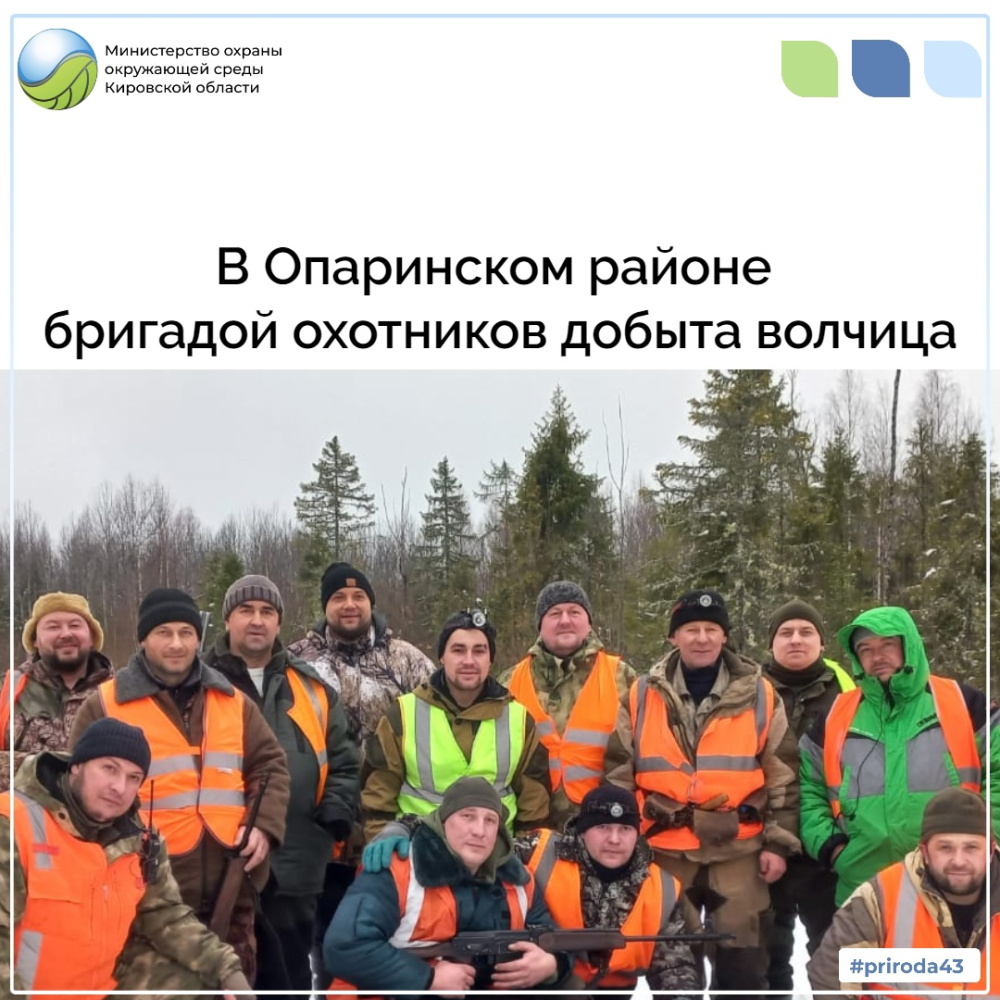 В Опаринском районе бригадой охотников добыта волчица 