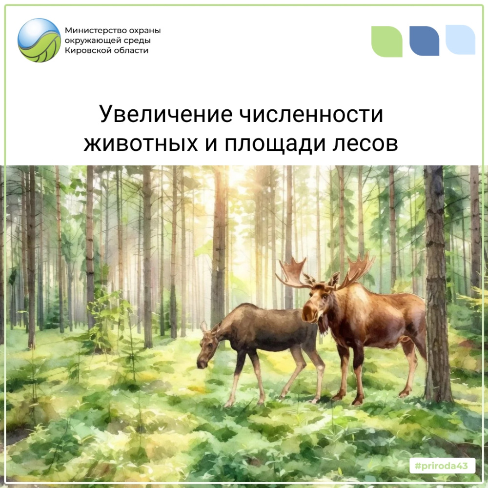 Увеличение численности животных и площади лесов