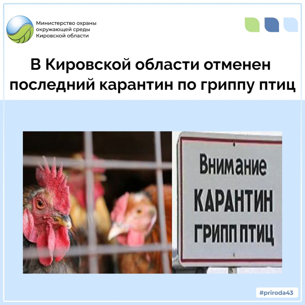 В Кировской области отменен последний карантин по гриппу птиц