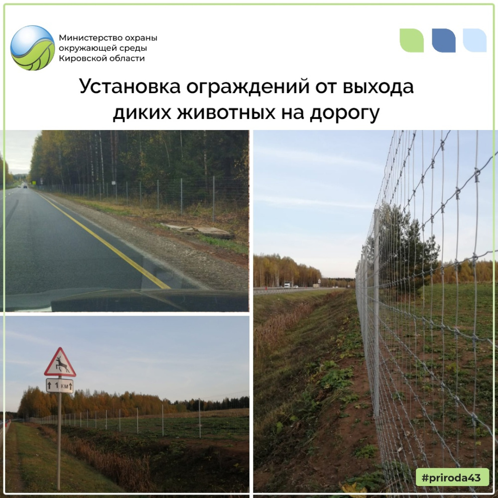 Установка ограждений от выхода диких животных на дорогу