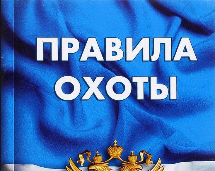 В 2021 году выявлено 299 нарушений законодательства об охоте