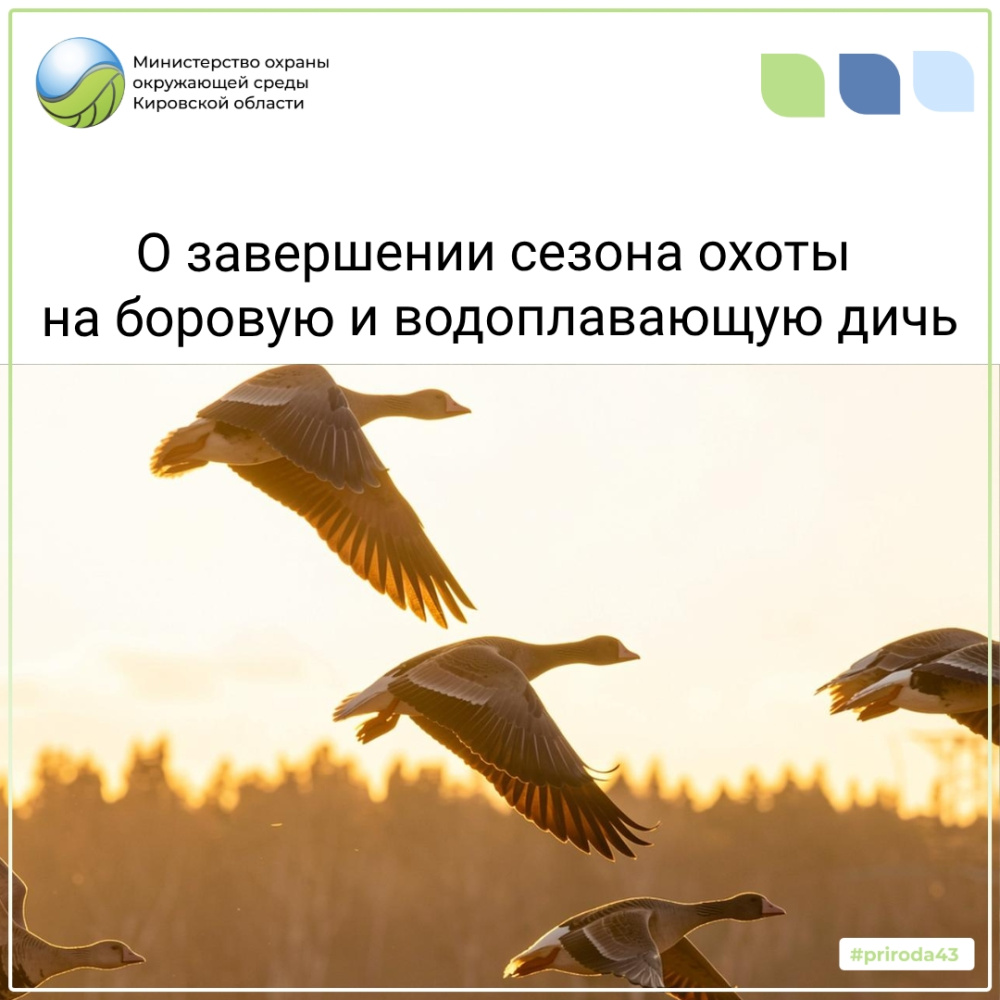 О завершении сезона охоты на боровую и водоплавающую дичь 