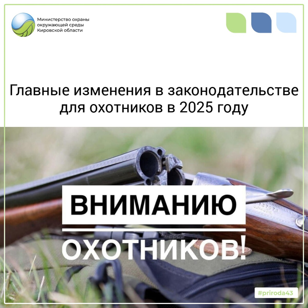Главные изменения в законодательстве для охотников в 2025 году