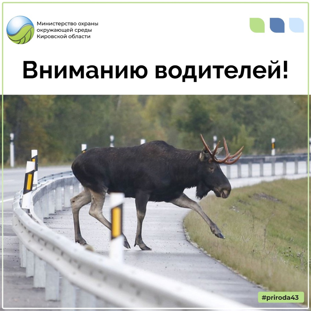 Вниманию водителей!