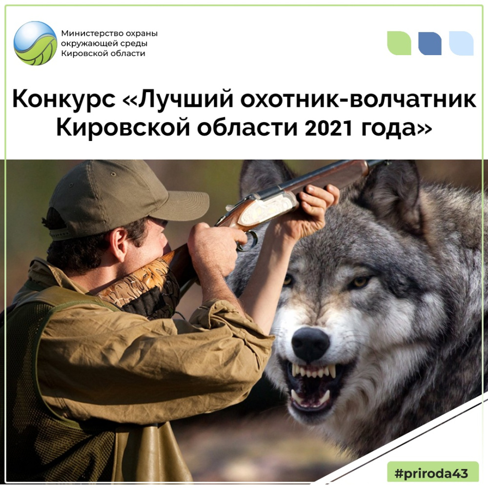Министерством объявлен старт конкурса «Лучший охотник-волчатник Кировской области 2021 года»!