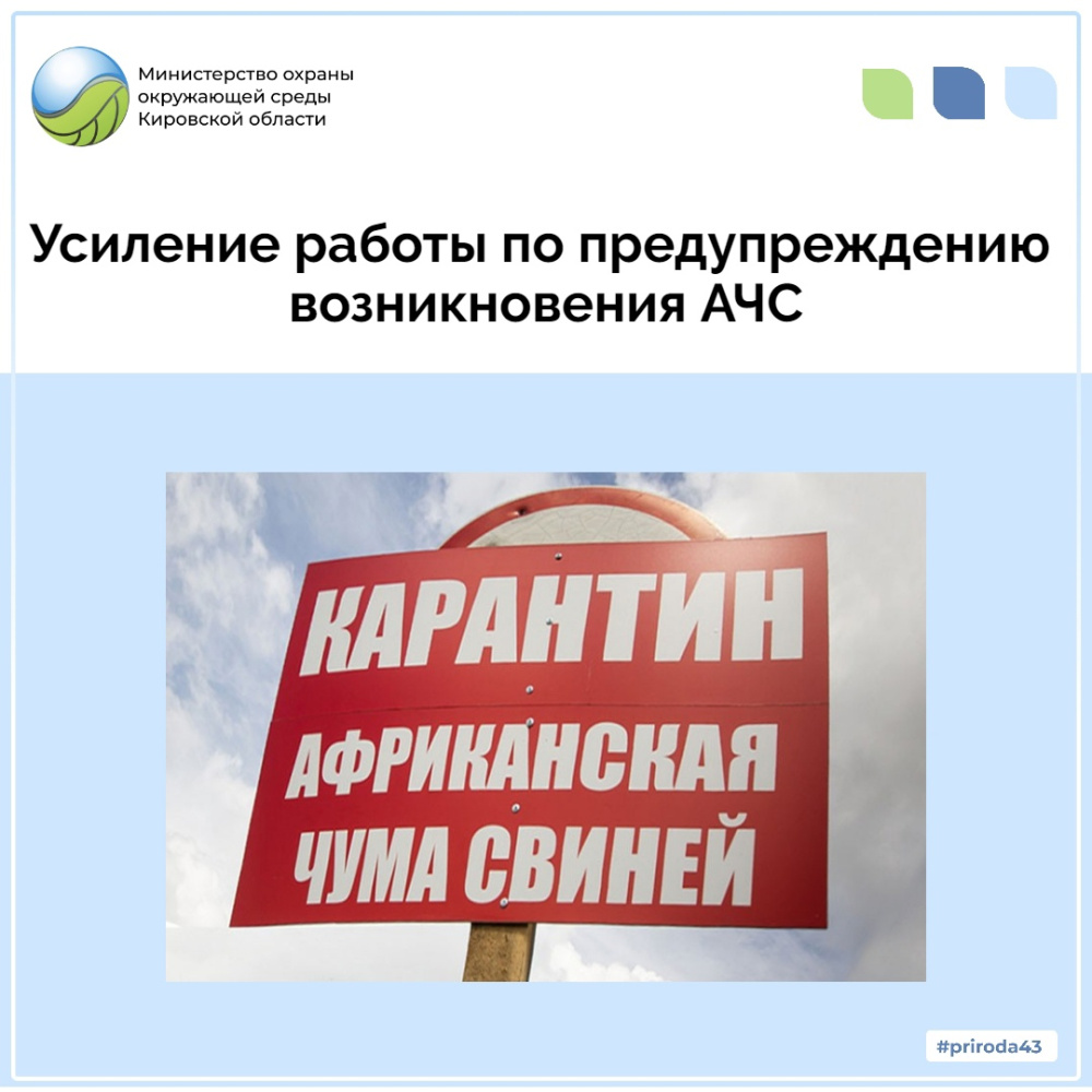 В Республике Татарстан зафиксированы вспышки африканской чумы свиней.