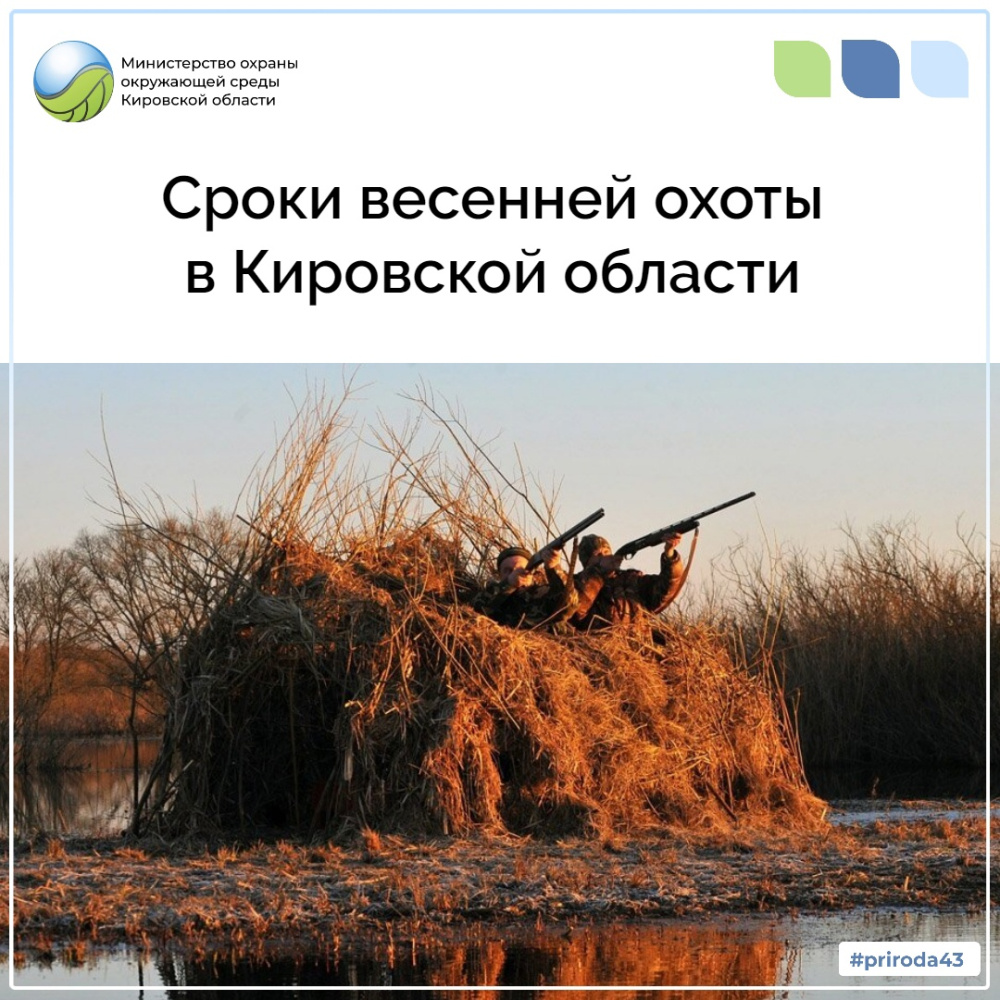 Сроки весенней охоты в Кировской области